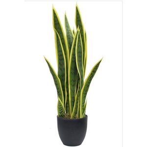 Annaflower Sansevieria Artificial-Pashakici - Product Image 1