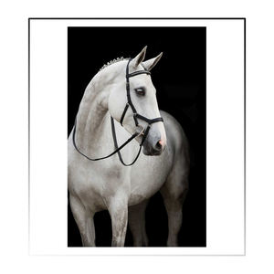 Objeto questrian eath novnovbo Bo ickickickamamomomomompetition ririririririri - Product Image 4