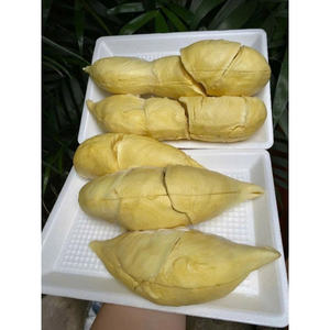 OFERTA CALIENTE DURIAN CONGELADO AL POR MAYOR SUMINISTRO A GRANEL TOP VENTAS PRODUCTO DE EXPORTACIÓN DE FRUTAS TROPICALES NATURALES DE CALIDAD PREMIUM - Product Image 3