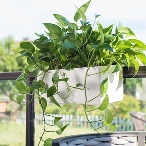 Pots de fleurs suspendus noirs de style estival avec crochets <span class=keywords><strong>d</strong></span>étachables Jardinières murales de campagne Balcon <span class=keywords><strong>Jardin</strong></span> Cour Plastique - Product Image 4