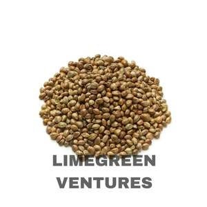 Graines de cœurs de chanvre décortiquées biologiques à double langue, exportation en gros depuis l'Inde, durée de conservation de 12 mois - Product Image 2