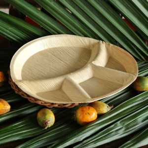 Assiettes jetables en feuille d'areca-Vaisselle robuste, étanche et sans produits chimiques pour le mariage, la restauration et les repas écologiques en plein air - Product Image 6
