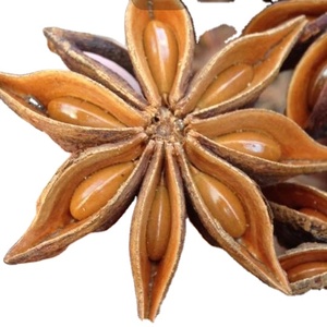 Fabbrica di anice stellato Vietnam il prezzo più basso e la migliore qualità spezie ed erbe contattano il fornitore Mr. Henry + 84 368591192 - Product Image 1