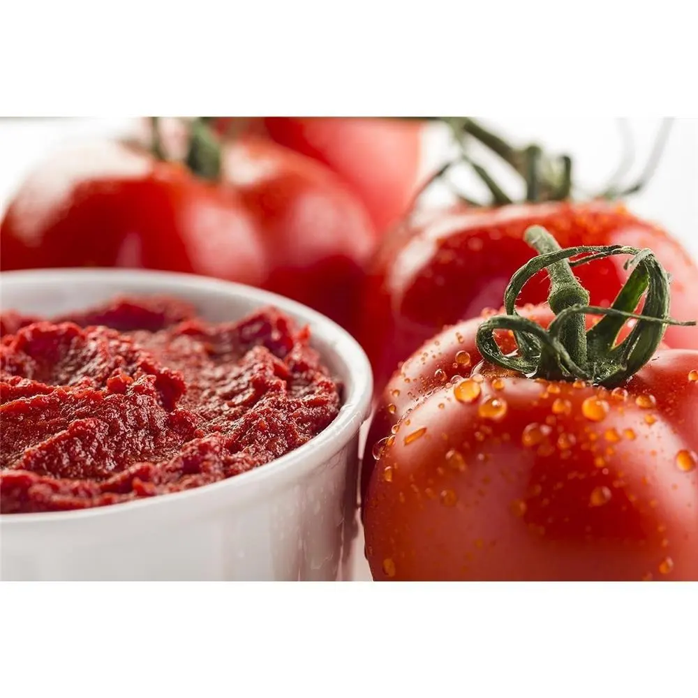 Sumber tomat fokus/ekspor kualitas tinggi pasta tomat terkonsentrasi