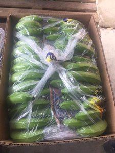 กล้วยคาเวนดิชสด ผลพรีเมียม รูปลักษณ์สม่ำเสมอ คุณภาพคงที่ พร้อมบริการจัดส่งระดับมืออาชีพ - Product Image 4