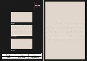 Fabricante directo India 300x600mmAzulejos de pared digitales esmaltados de cerámica mate Alta calidad Nuevo diseño moderno Villas Sólido - Product Image 4