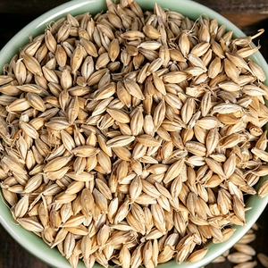 Granos de Cebada para Alimentación Animal, Cebada Integral, Arroz, Alimento Nutritivo y Satisfactorio, Cebada de Alta Montaña en Venta - Product Image 5