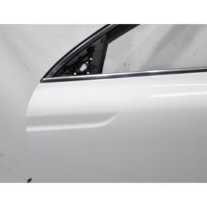 ประตูหน้าซ้ายเรโนลต์ ทาลิซามัน ซาลูน 801017010R (15>) - Product Image 3