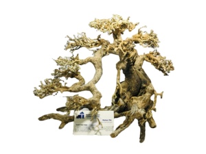 อุปกรณ์ตกแต่งตู้ปลาทรงสี่เหลี่ยมผืนผ้าหรูหราทันสมัยสำหรับห้องนั่งเล่นและเดสก์ท็อป - Product Image 2