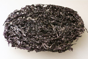 Algas secas de SARGASSUM para fertilizante, alimentación ANIMAL de Vietnam, 2022 - Product Image 4