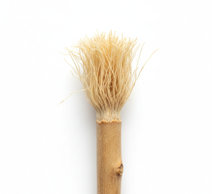 GreenMatrix Bâton dentaire bio à base de plantes Blanchiment naturel des gencives Santé écologique Hygiène dentaire Nettoyage buccal frais Miswak - Product Image 1