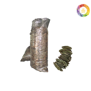 Feuilles de corossol biologique du Vietnam-Graviola de qualité supérieure séché en utilisant des méthodes traditionnelles pour une puissance maximale - Product Image 2