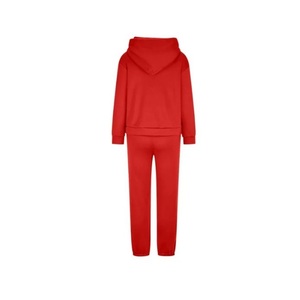 Conjunto de dos piezas, chándales deportivos para mujer, jersey de manga larga, sudaderas con capucha, pantalones de chándal, traje de invierno, exportación desde BD - Product Image 1