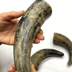 เขาควายดิบแท้สำหรับแกะสลักและทำโปรเจกต์ DIY งานฝีมือธรรมชาติตกแต่งสไตล์สัตว์ - Product Image 1