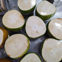 Premium kwaliteit, topklasse verse jonge kokosnoten, diamantvormig, 100% natuurlijk, VILACONIC merk, natuurlijk zoet, 0,5 kg, zomerse drankjes