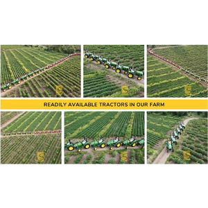 Maquinaria agrícola de la mejor calidad, tractores Mahindra para construcción y trabajos agrícolas/Agricultura - Product Image 6