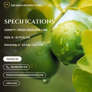 มะนาวไร้เมล็ดสดพรีเมียมจากเวียดนามสำหรับส่งออก - Product Image 6