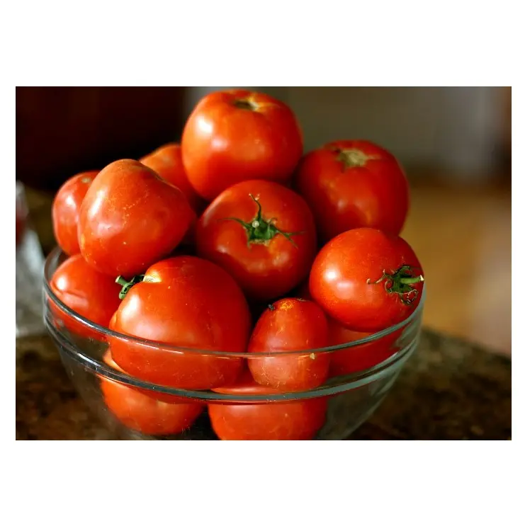 Tomates fraîches de bonne qualité Tomates cerises fraîches congelées en vrac Stock frais au prix de gros avec livraison rapide