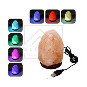 Nouvelle Arrivée Lampe de Sel de l'Himalaya Sculptée de Meilleure Qualité avec Options Personnalisables - Product Image 3