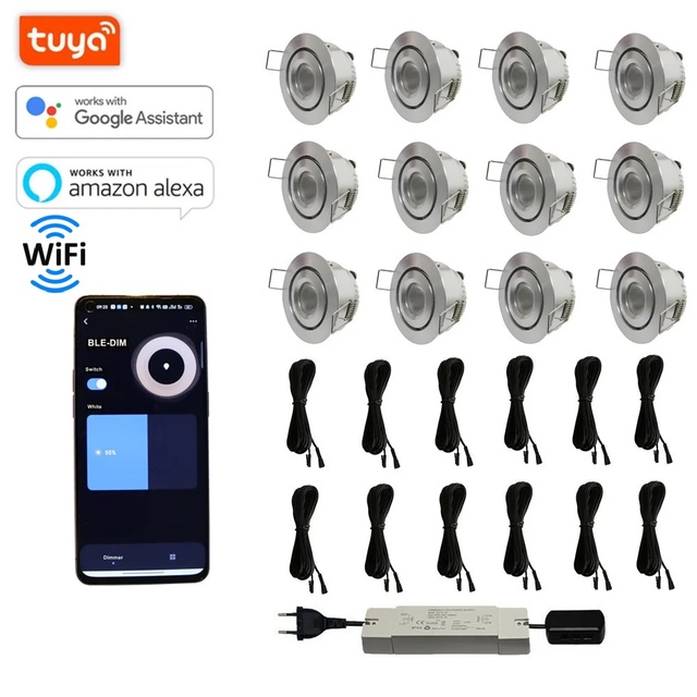 12PCS WIFI TUYA Dimmable 3W Mini Recessed Dimmable Led Downlights Spotlight for Roofing Garden Lighting