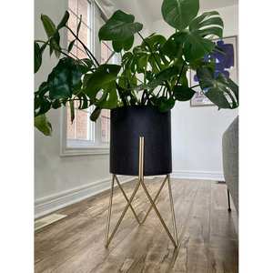 Jardinières personnalisées de luxe fabriquées en Inde Pots de jardin d'intérieur Fabricant Qualité exportateur - Product Image 3