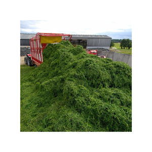 Heno de Alfalfa Seca de Alta Calidad para Ganado, Empacado de Forma Segura para Exportación y Entrega a Larga Distancia - Product Image 1