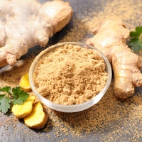 Extrait de gingembre en poudre de qualité alimentaire, pur et naturel, fourni par l'usine, 5:1-20:1 en bouteille/bocal en verre