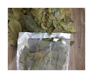 Oferta Especial: Hoja de Guanábana Seca 100% Natural, Procesada y Limpia, Exportación a Granel de un Fabricante Vietnamita Confiable - Product Image 5
