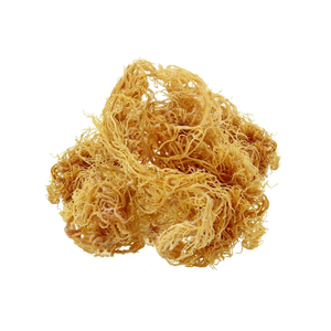 มอสทะเลสีทองตากแห้งปรุงรสออร์แกนิกโฆษณาในเวียดนาม - Product Image 1