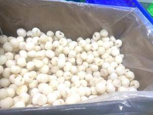 ลิ้นจี่แช่แข็ง Iqf ของเวียดนามมีทั้งเปลือกและปอกเปลือกให้สั่งซื้อจำนวนมาก - Product Image 6