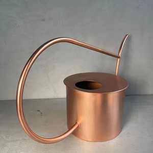 Bidon d'eau en métal de qualité supérieure pour fleurs avec finition en cuivre au design intemporel et poignée de transport facile à utiliser - Product Image 1