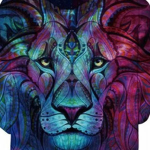 Nouveau design de sweats à capuche de haute qualité sur mesure pour hommes sweats à capuche unisexes avec logo personnalisé taille et couleurs sweats à capuche unis pour hommes - Product Image 5