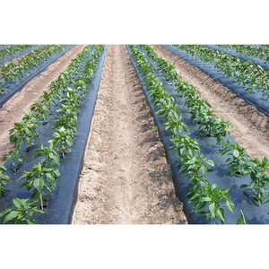 Film d'agriculture à haute élasticité, haute pureté, à bas prix, couleur noir et argent, pour changer la température du sol, aide à prévenir la perte d'humidité du sol - Product Image 5