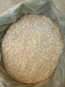 Precio barato Concha de cangrejo de alta calidad que se vende bien desde Vietnam - Product Image 5