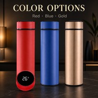 Bouteille isotherme intelligente en acier inoxydable de 500 ml avec affichage LED de la température, gourde portable, OEM ODM, vente en gros