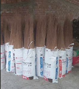 Baguettes de noix de coco séchées Matière première durable pour le balai et l'artisanat - Product Image 2