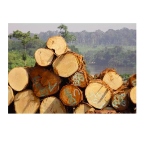 Vente en gros de bois dur de qualité supérieure Frake Wood Lumbers pour grossistes et importateurs internationaux - Product Image 1