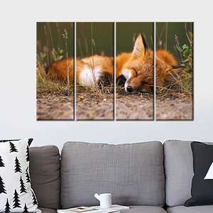 Impresión en Lienzo 3D de Zorro Durmiendo - Arte Decorativo para el Hogar con Diseño de Animales Grandes, 4P: Enmarcado en Lienzo - Product Image 1
