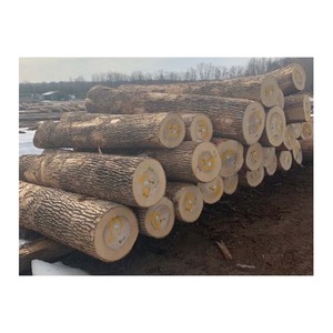 Grumes d'érable prêtes pour l'expédition en vrac aux détaillants et fournisseurs mondiaux de bois - Product Image 4