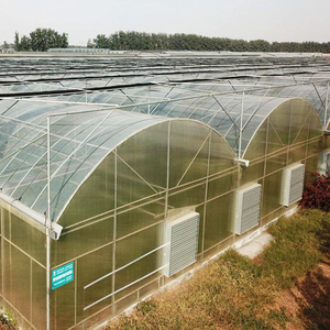 Professional Multi Span Film Greenhouse for Commercial Aquaponics and Hydroponic Lettuce Farming Solutions Supply Kit - Product Image 3