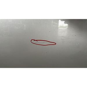 VOLVO C30 1ª Serie (06>12) PUERTA DELANTERA IZQUIERDA 31335483 - Product Image 4