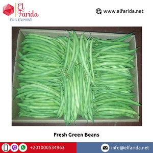 Haricots verts frais de haute qualité Égypte Emballage en vrac de haute qualité style séché Prix compétitif Fourniture en gros Fournisseur d'origine - Product Image 4