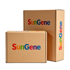 Cajas de Embalaje de Transporte Corrugadas Personalizadas Hechas con Materiales Reciclados con Marca - Product Image 5