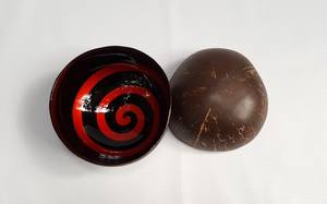 Bol de coquille de noix de coco naturelle de couleur personnalisée avec plusieurs styles Design décoratif Bol de noix de coco coloré du Vietnam - Product Image 4