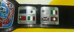 Wrestling Championship Belts Trophées Médailles et récompenses le symbole ultime de la victoire et de l'excellence Ceintures de championnat - Product Image 5