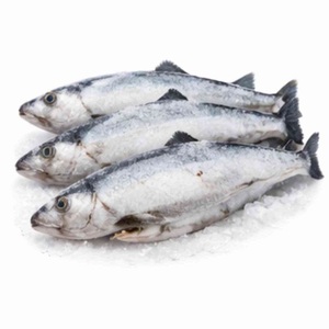 ปลาแซลมอนแช่แข็งพรีเมียม ขายส่งจำนวนมาก ส่งออกอาหารทะเล - Product Image 2