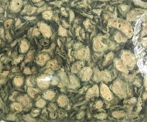 Melon Amer Séché Premium – Thé et Légume Naturels à Base de Plantes du Vietnam, Vente en Gros de Melon Amer Séché - Product Image 5