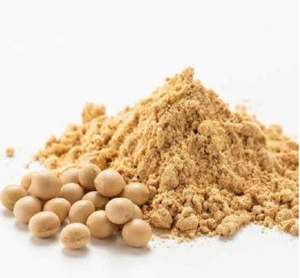 Extrait de soja en poudre naturel en vrac, vente chaude, supplément d'isoflavones de soja naturel brut - Product Image 3