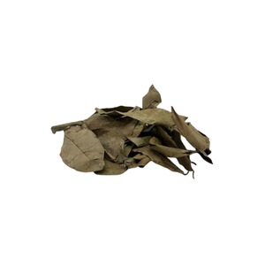 Feuilles de graviola séchées vietnamiennes pour tisane à un prix raisonnable au Vietnam - Product Image 4
