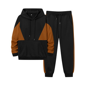 Gran oferta, conjunto de 2 piezas, conjuntos de Jogger de Color sólido para hombre, chándales personalizados con capucha, pantalones de chándal para primavera y otoño - Product Image 5
